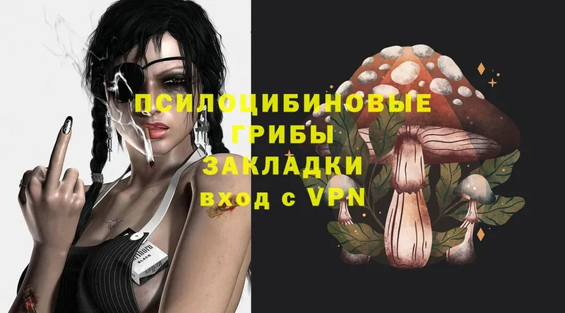 купить наркоту  Лысьва  Галлюциногенные грибы Psilocybe 